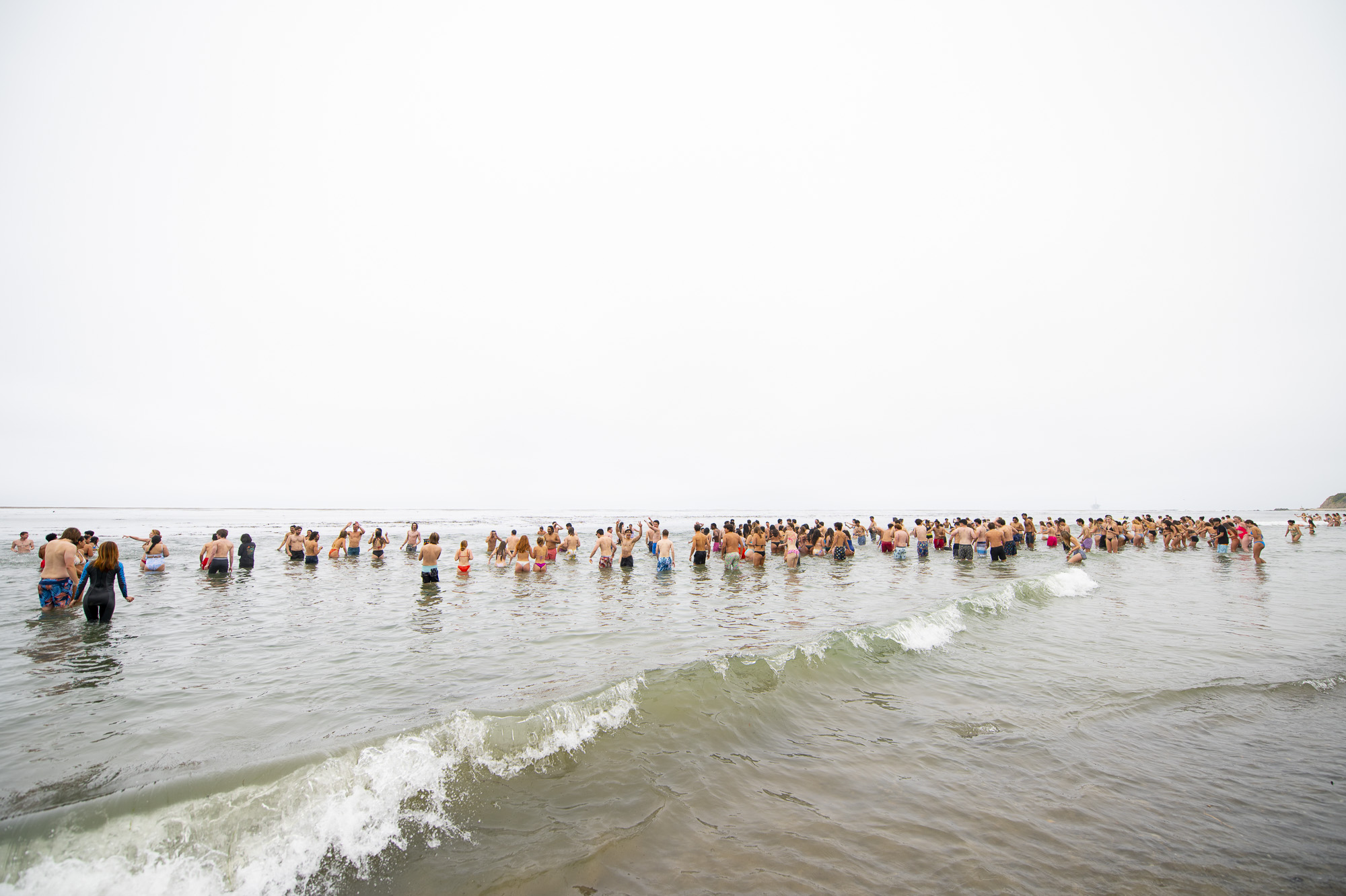 The Plunge 2024 - Action shot